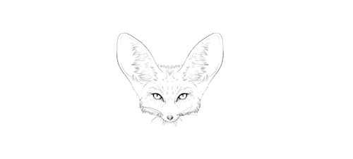 Fox Den Productions - Director of Photography / Film - Panama / NYC